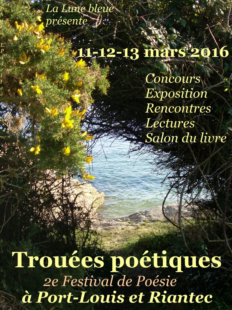 Affiche Festival Trouées poétiques 2016 bis